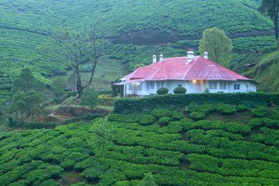 Munnar Tour — Madurai Trip